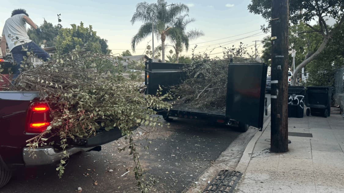 Dump Happy crew member loading tree branches and yard waste into a truck bed